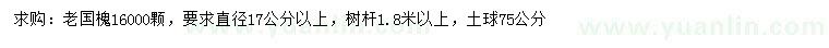 求购直径17公分以上老国槐