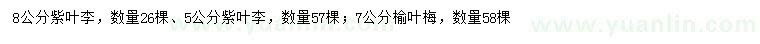 求购5、8公分紫叶李、榆叶梅