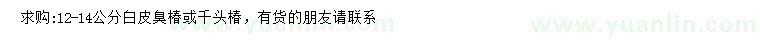 求购12-14公分白皮臭椿、千头椿