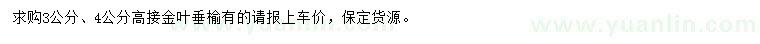 求购3、4公分高接金叶垂榆