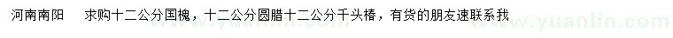 求购国槐、圆腊、千头椿