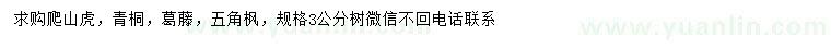 求购爬山虎、青桐、葛藤等