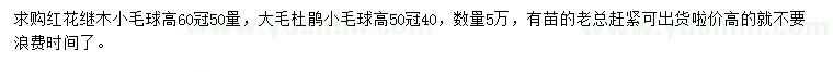 求购红花继木小毛球、大毛杜鹃小毛球