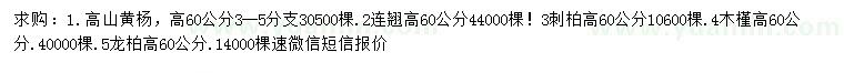 求购高山黄杨、连翘、刺柏等