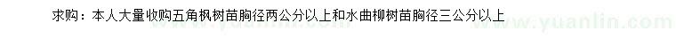 求购胸径2公分以上五角枫树苗、3公分以上水曲柳树苗