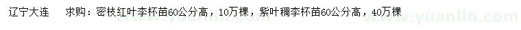 求购高60公分密枝红叶李、紫 叶稠李