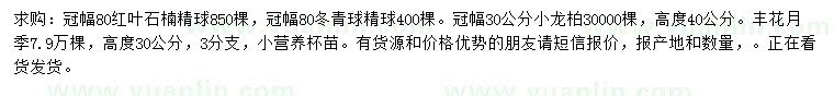 求购红叶石楠精球、冬青球精球、小龙柏等