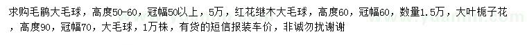 求购毛鹃、红花继木、大叶栀子花