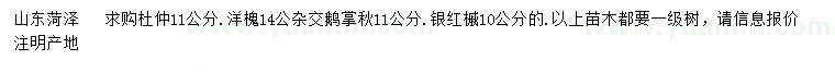 求购杜仲、杂交鹅掌秋、银红槭