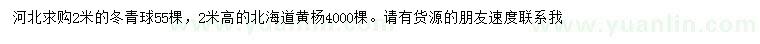 求购高2米冬青球、北海道黄杨