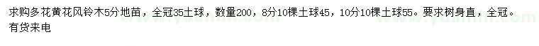 求购5、8、10公分多花黄花风铃木