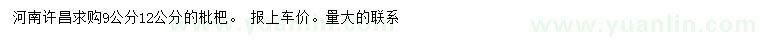 求购9、12公分枇杷树