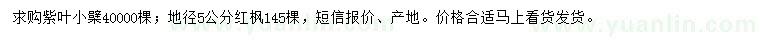 求购紫叶小檗、径5公分红枫