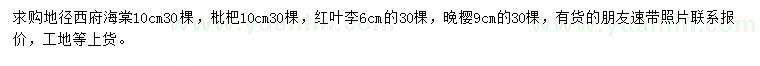 求购西府海棠、枇杷、红叶李等