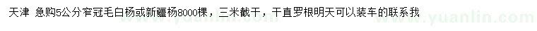 求购5公分窄冠毛白杨、新疆杨