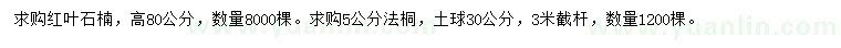 求购高80公分红叶石楠、5公分法桐