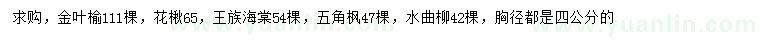 求购金叶榆、花楸、王族海棠等