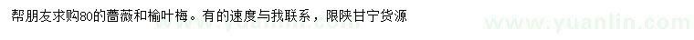 求购80公分蔷薇、榆叶梅