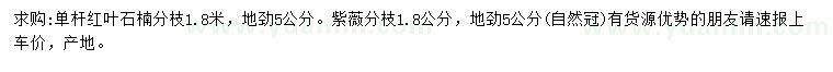 求购地径5公分单杆红叶石楠、紫薇