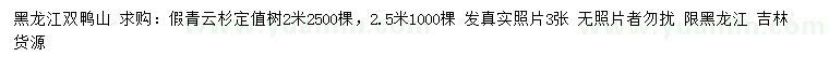 求购2、2.5米假青云杉