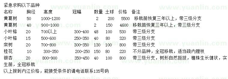 求购黄葛树、小叶榕、栾树等