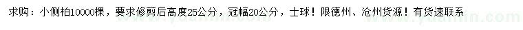 求购高25公分小侧柏