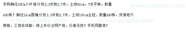 求购胸径18公分小叶榕、16公分国槐