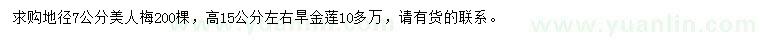 求购地径7公分美人梅、高15公分左右旱金莲