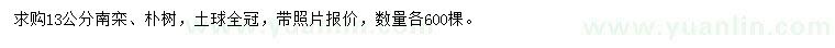 求购13公分南栾、朴树