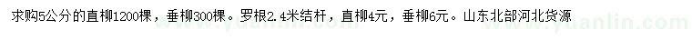 求购5公分直柳、垂柳