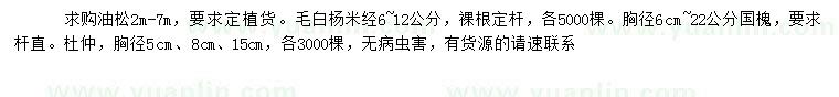 求购油松、毛白杨、国槐等