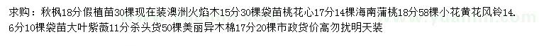 求购秋枫、澳洲火焰木、桃花心等