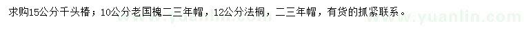 求购千头椿、老国槐、法桐