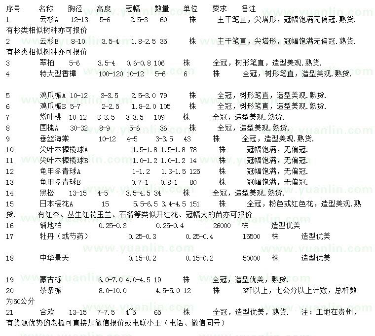 求购云杉、翠柏、香樟等