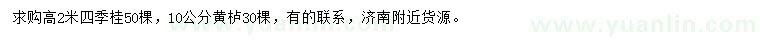 求购高2米四季桂、10公分黄栌