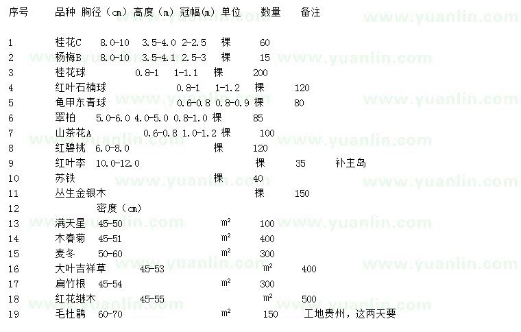 求购桂花、杨梅、桂花球等