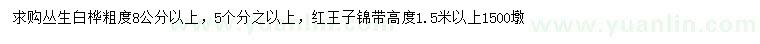 求购8公分以上丛生白桦、高1.5米以上红王子锦带