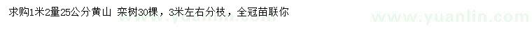 求购1.2米量25公分黄山栾树30棵