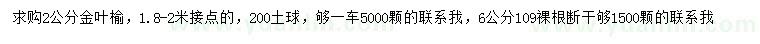 求购2、6公分金叶榆