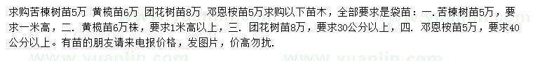 求购苦楝树苗、黄榄苗、团花树苗等