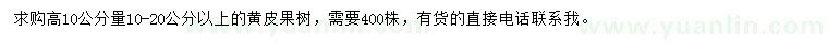 求购高10公分量10-20公分以上黄皮果树