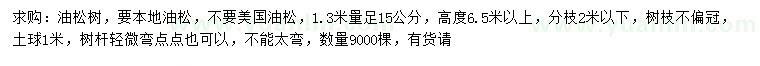 求购1.3米量足15公分油松树