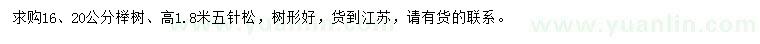 求购16、20公分榉树、高1.8米五针松