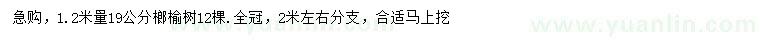 求购1.2米量19公分榔榆树