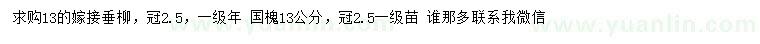 求购13公分嫁接垂柳、国槐