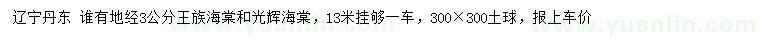 求购地经3公分王族海棠、光辉海棠