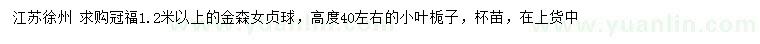 求购冠福1.2米以上金森女贞球、高40公分左右小叶栀子