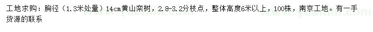 求购1.3米量胸径14公分黄山栾树