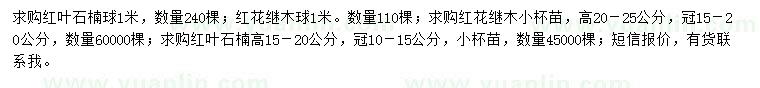 求购红叶石楠球、红花继木、红叶石楠