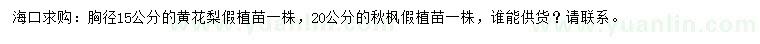 求购胸径15公分黄花梨、20公分秋枫